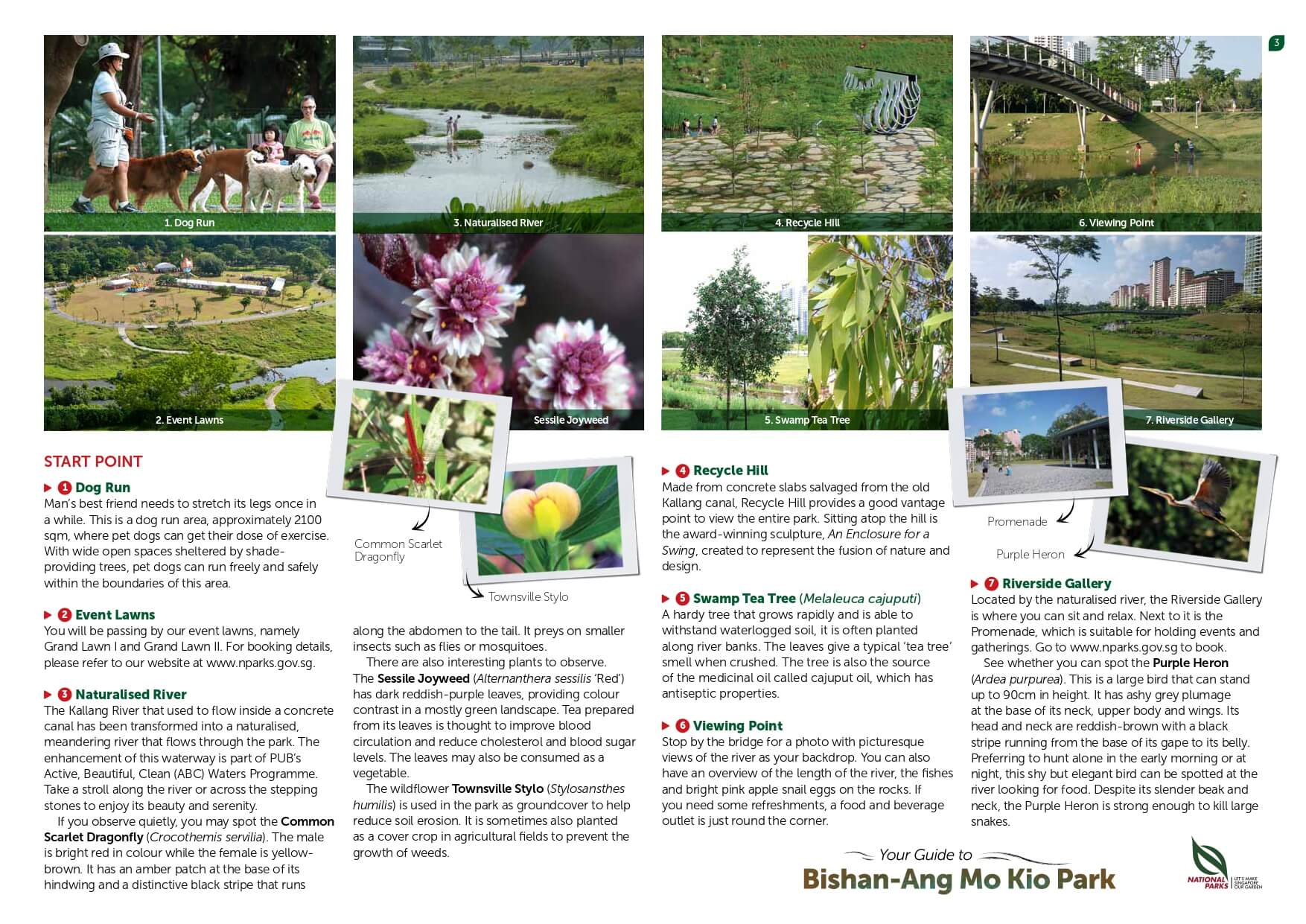 bishan amk park page 3