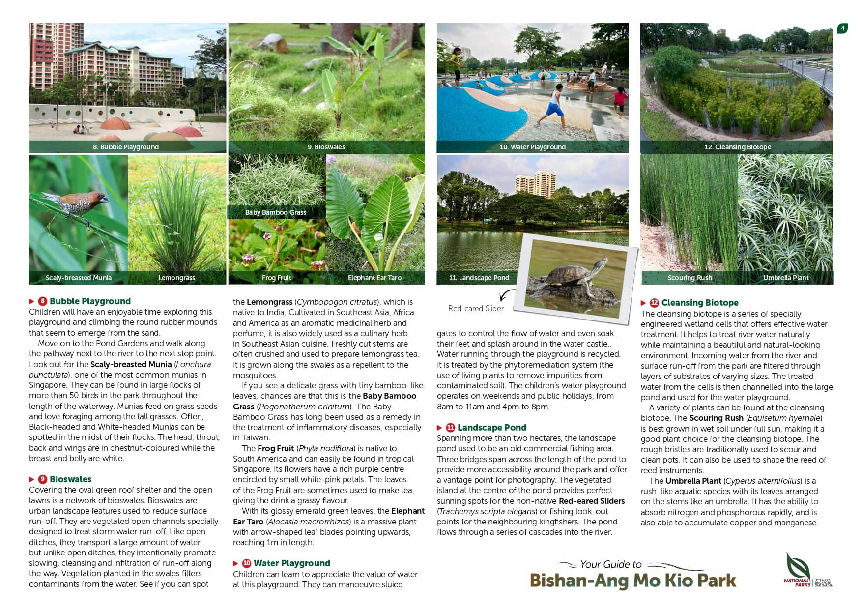 bishan amk park page 4