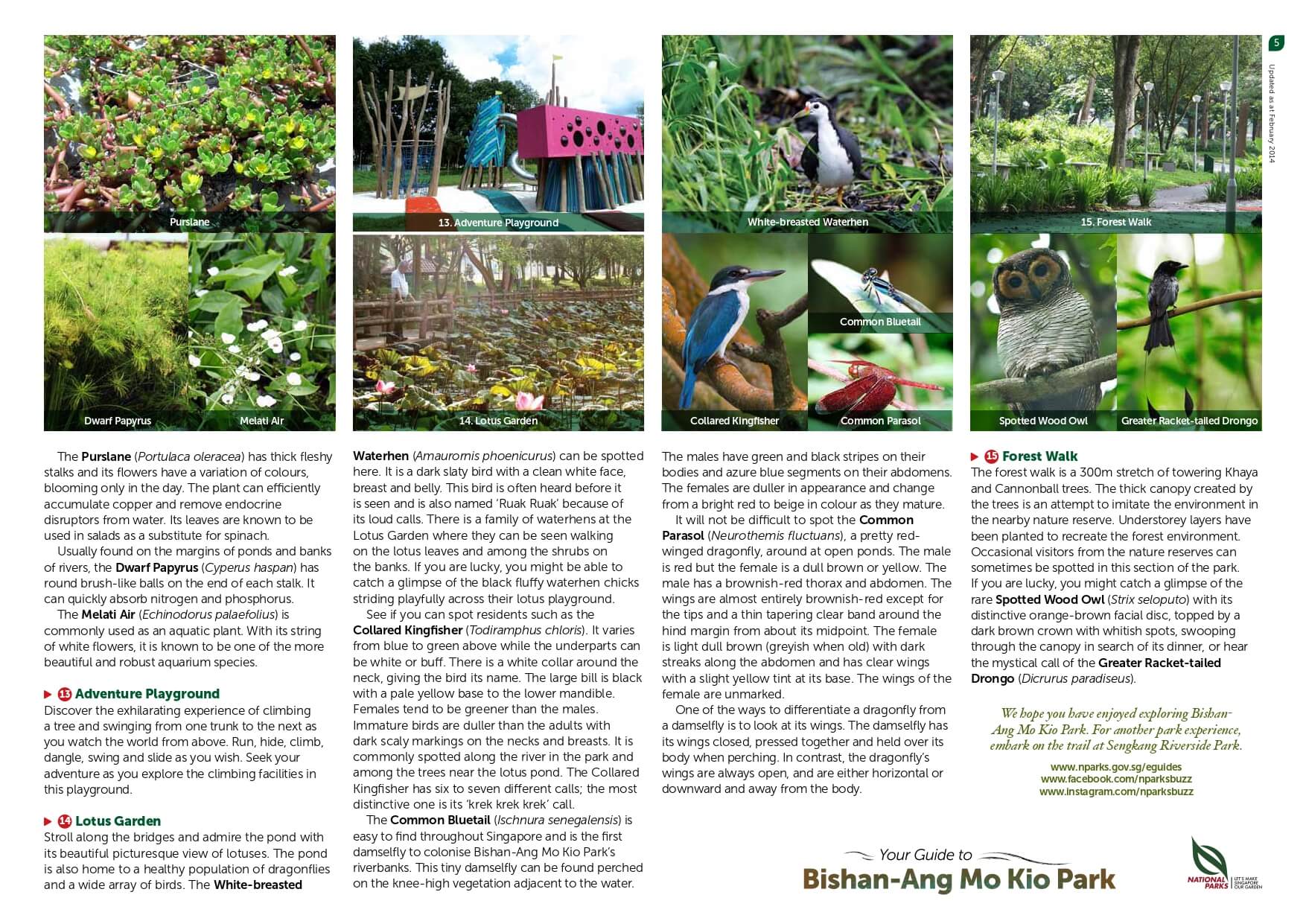 bishan amk park page 5